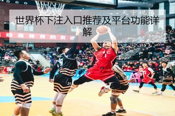 世界杯下注入口推荐及平台功能详解