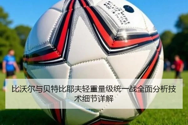 比沃尔与贝特比耶夫轻重量级统一战全面分析技术细节详解